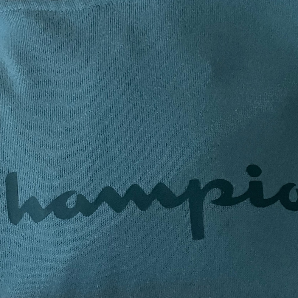 Champion Ladies' Color Block Hoodie Size Large Attached Hood Aqua Tonic toggle - Picture 15 of 16
